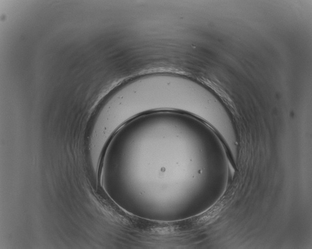 X0000066940160200603311426