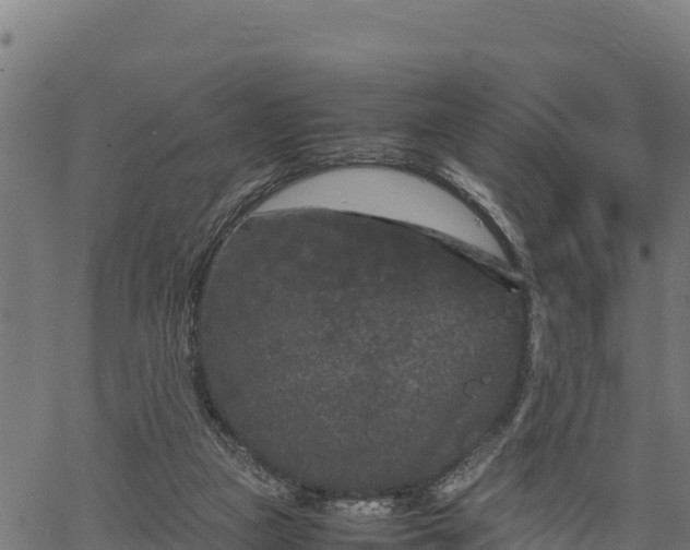 X0000066940161200603311426