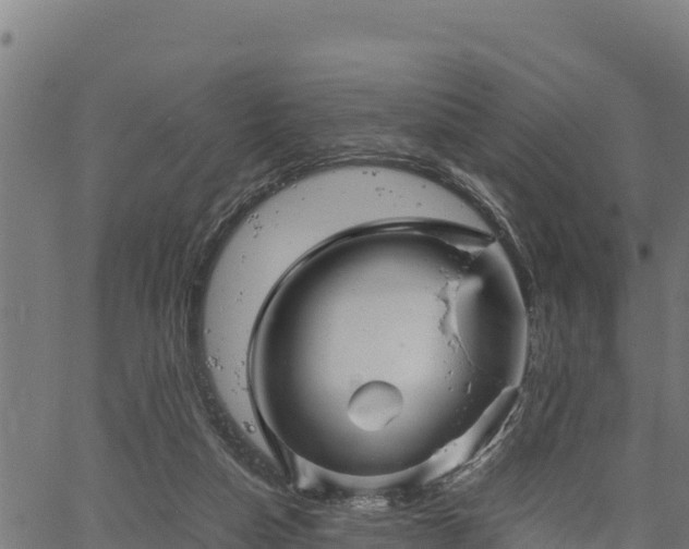 X0000066940162200603311426