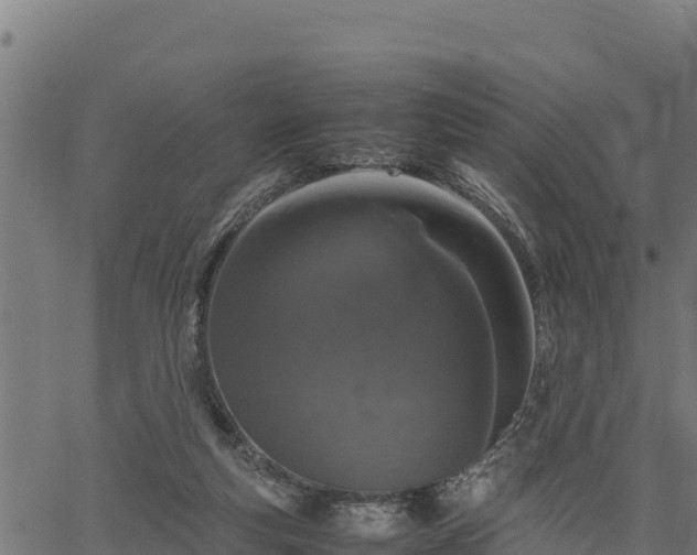 X0000066940163200603311426