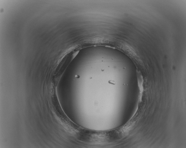 X0000066940164200603311426