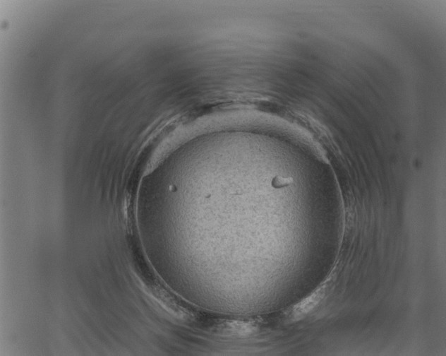 X0000066940166200603311426