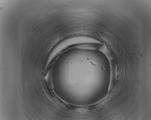 X0000066940168200603311426