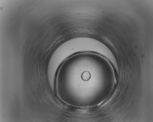 X0000066940170200603311426