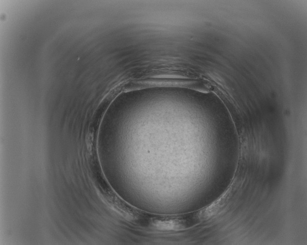 X0000066940171200603311426