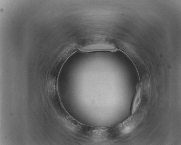 X0000066940172200603311426