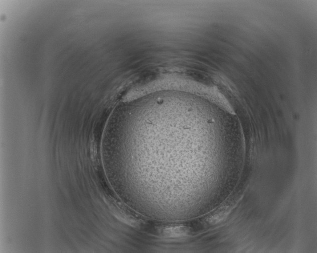 X0000066940173200603311426