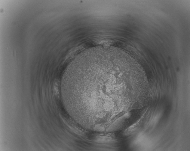 X0000066940175200603311426