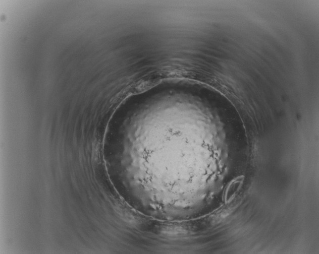 X0000066940177200603311426