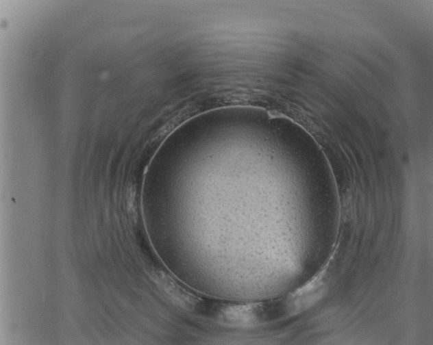 X0000066940178200603311426