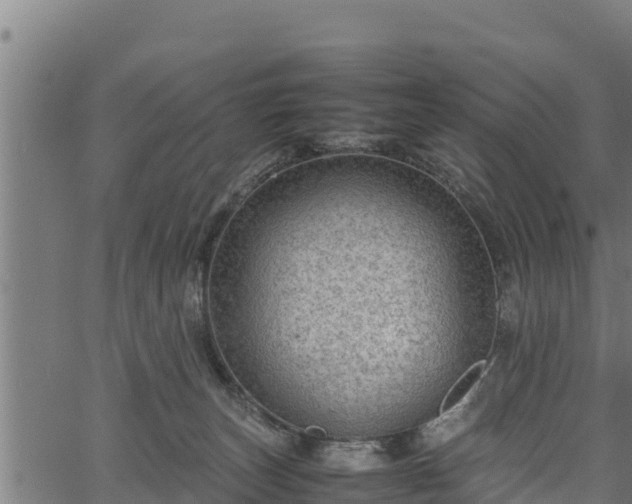 X0000066940179200603311426