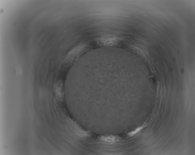 X0000066940181200603311426