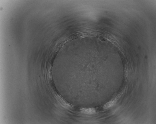 X0000066940185200603311426