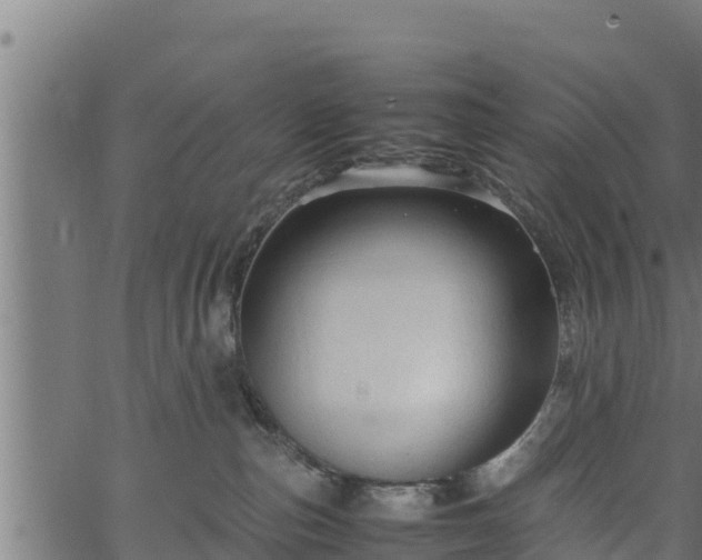 X0000066940187200603311426