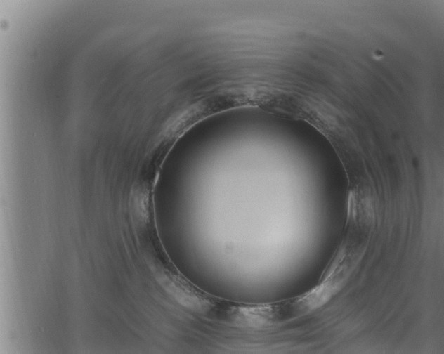 X0000066940188200603311426