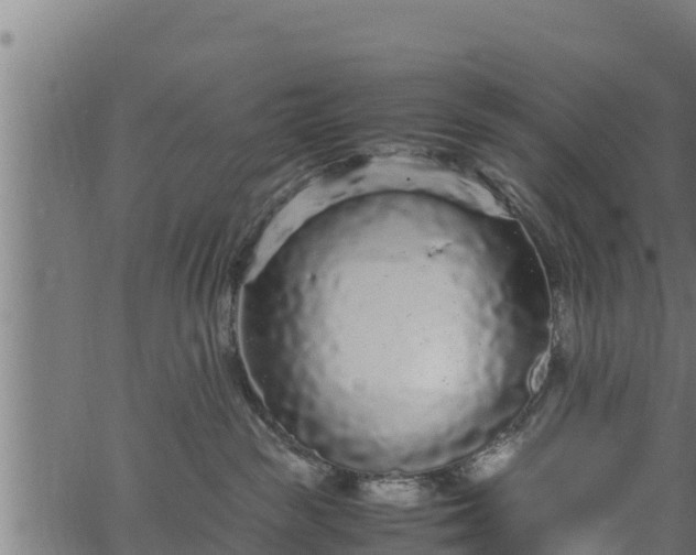 X0000066940189200603311426