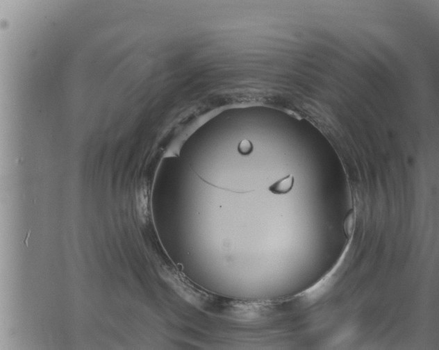 X0000066940190200603311426