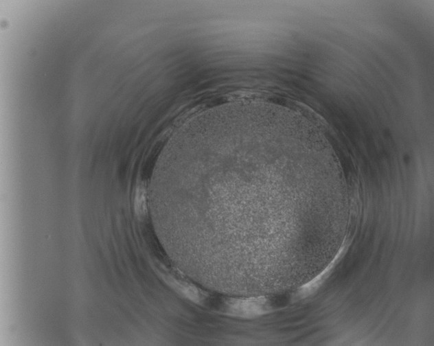 X0000066940191200603311426