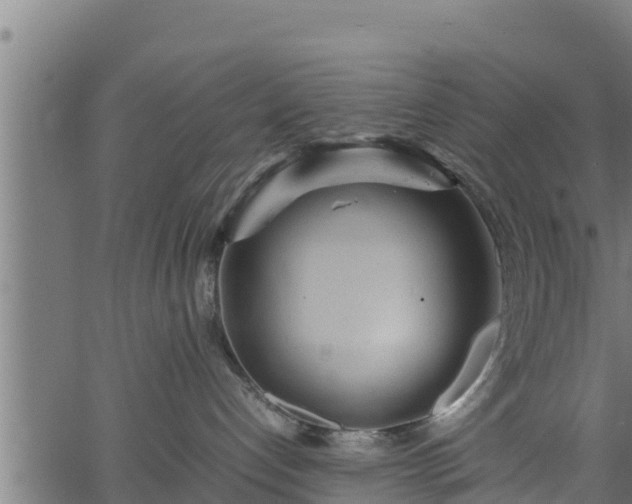 X0000066940192200603311426