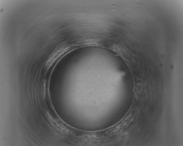 X0000066940194200603311426