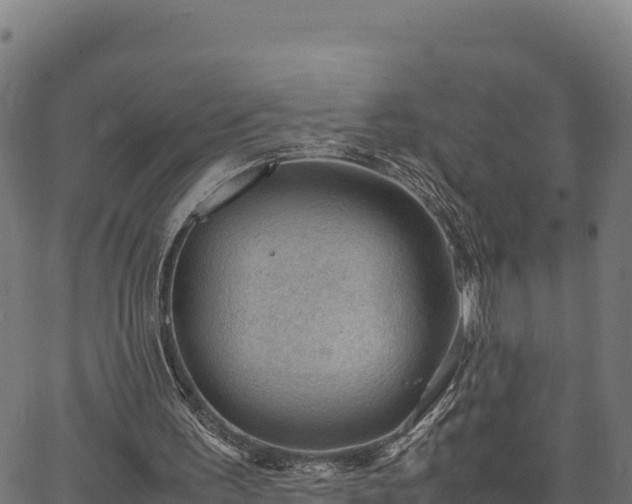 X0000066940195200603311425