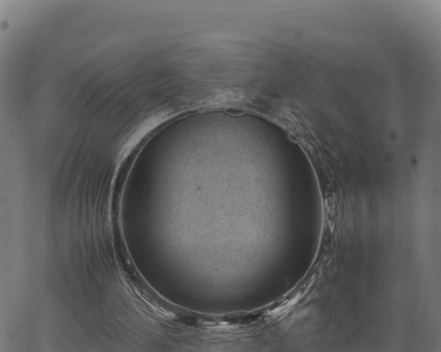 X0000066940196200603311425