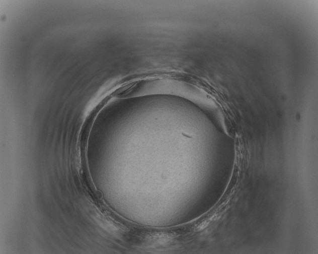 X0000066940198200603311425