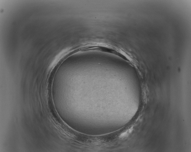 X0000066940199200603311425