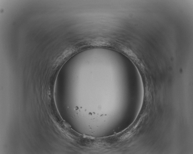 X0000066940201200603311425