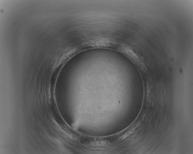 X0000066940202200603311425