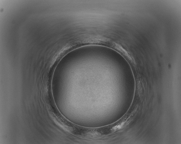 X0000066940203200603311425