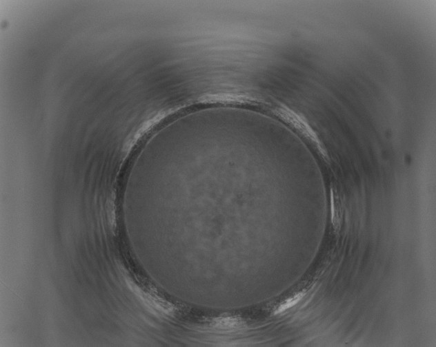 X0000066940204200603311425