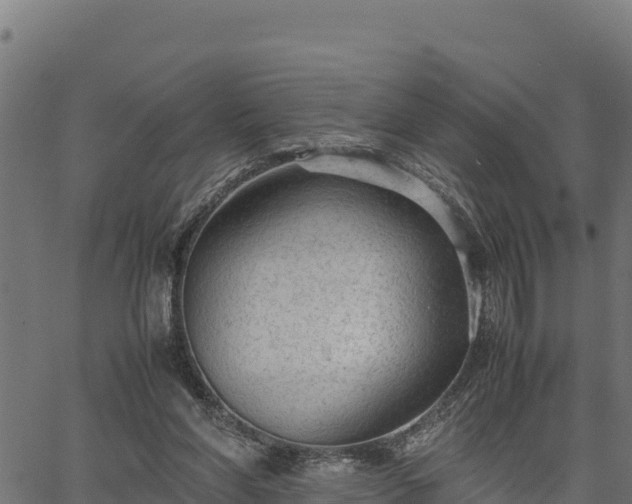 X0000066940206200603311425