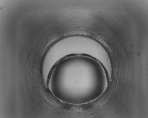 X0000066940207200603311425