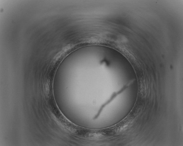 X0000066940208200603311425