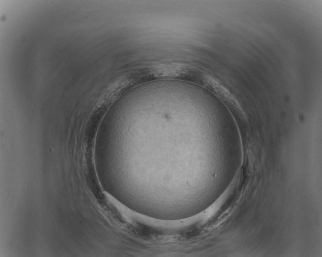 X0000066940209200603311425