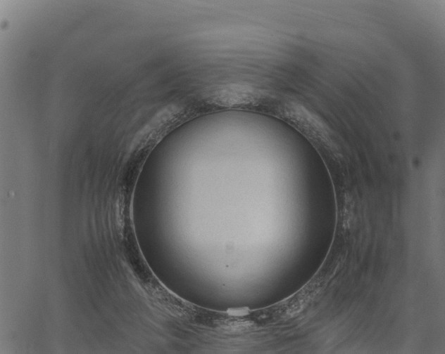 X0000066940210200603311425