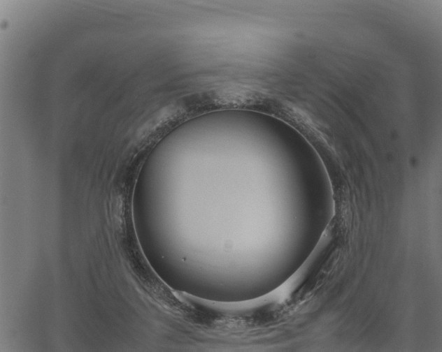 X0000066940211200603311425