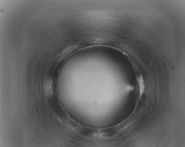 X0000066940216200603311425