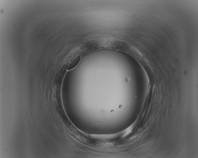 X0000066940217200603311425