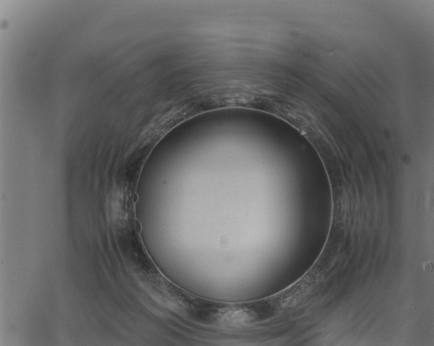 X0000066940218200603311425