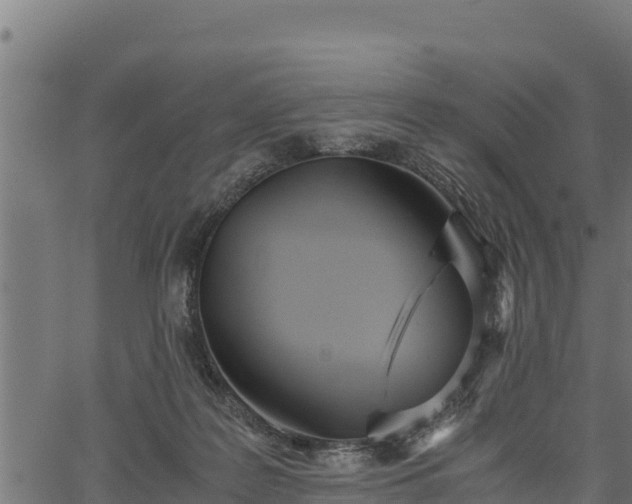 X0000066940219200603311425