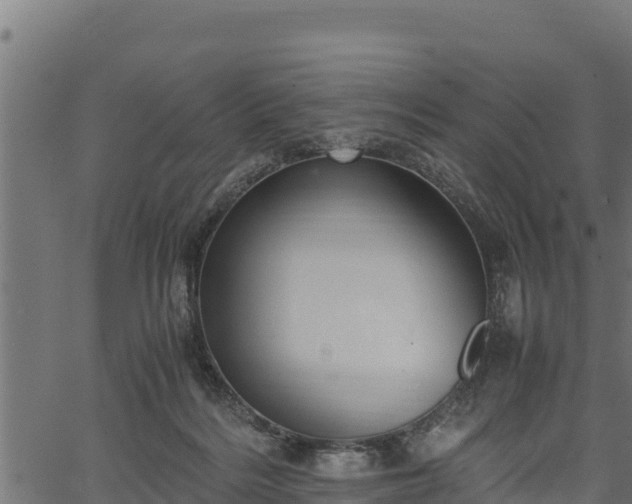 X0000066940220200603311425