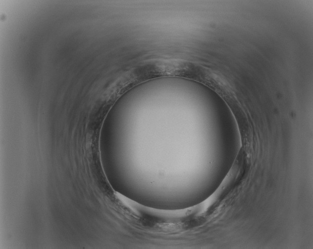 X0000066940221200603311425