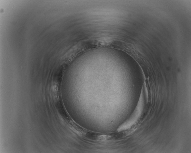 X0000066940222200603311425