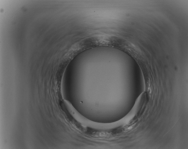 X0000066940223200603311425