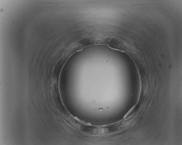 X0000066940225200603311425