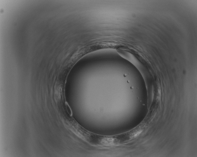 X0000066940227200603311425