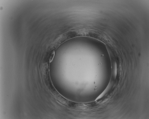 X0000066940229200603311425