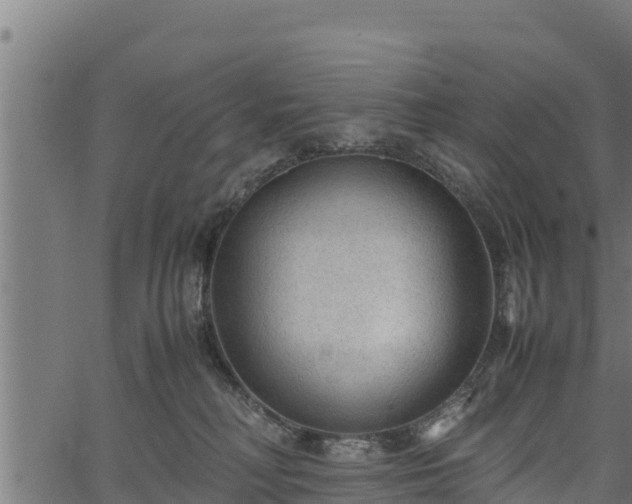 X0000066940230200603311425